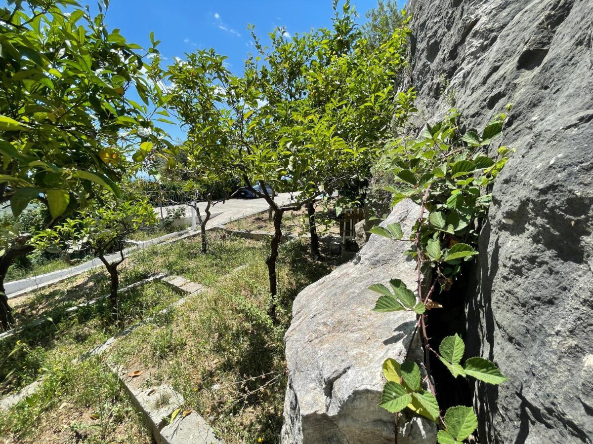 Villetta - Qui Dove Il Mare Luccica - Affitti Brevi Italia Monte Sant'Angelo Bagian luar foto